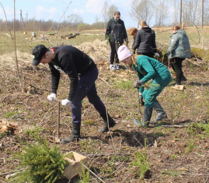 В Ельнинском районе  заложили «Сад Памяти»