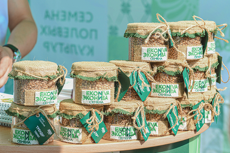 все вместе