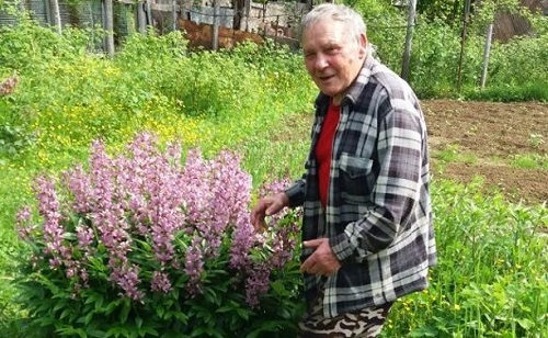 В районе Леонидово больше недели ищут пропавшего 77-летнего пенсионера