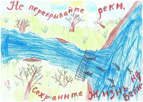 Конкурсная жизнь: победы и участие