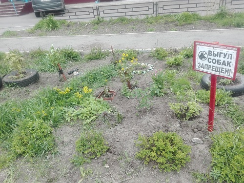 Поронайский муниципалитет «наказали» (обновлено 24 июня)