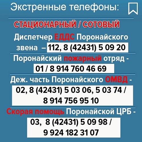 12 декабря ожидается обильный и мокрый снег