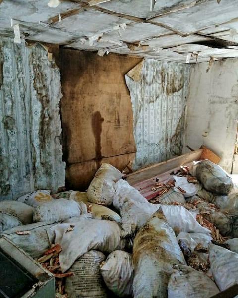 Свалку крабовых отходов устроили в заброшенном доме дачного массива в Андреевке