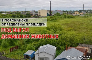 В Поронайске определили площадки для выгула собак 