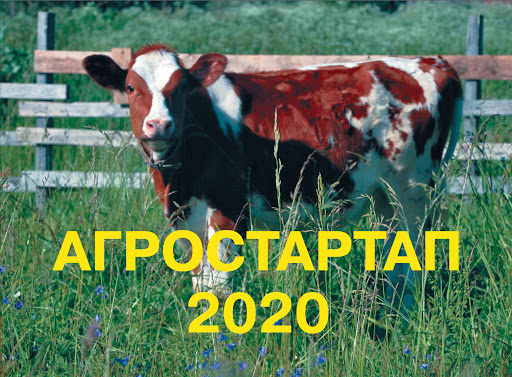 Грант "Агростартап" и "грандиозные планы" поронайской фермерши