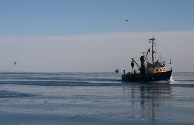 Торги и контракты: акваторию поронайского порта проверят на уязвимость