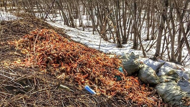 Очередные свалки крабовых отходов обнаружили в Леонидово и в Поронайске