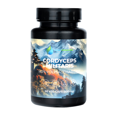 КОРДИЦЕПС 40% 60 ВЕГЕТАРИАНСКИХ КАПСУЛ ПО 500 MG