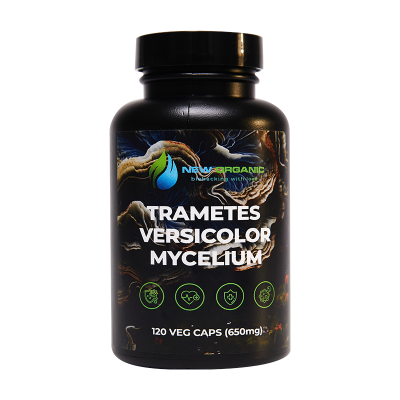 ТРАМЕТЕС РАЗНОЦВЕТНЫЙ 120 ВЕГЕТАРИАНСКИХ КАПСУЛ ПО 650 MG