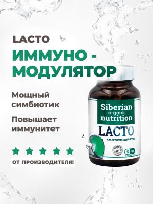 Иммуномодулятор Лакто симбиотик 42 капсулы