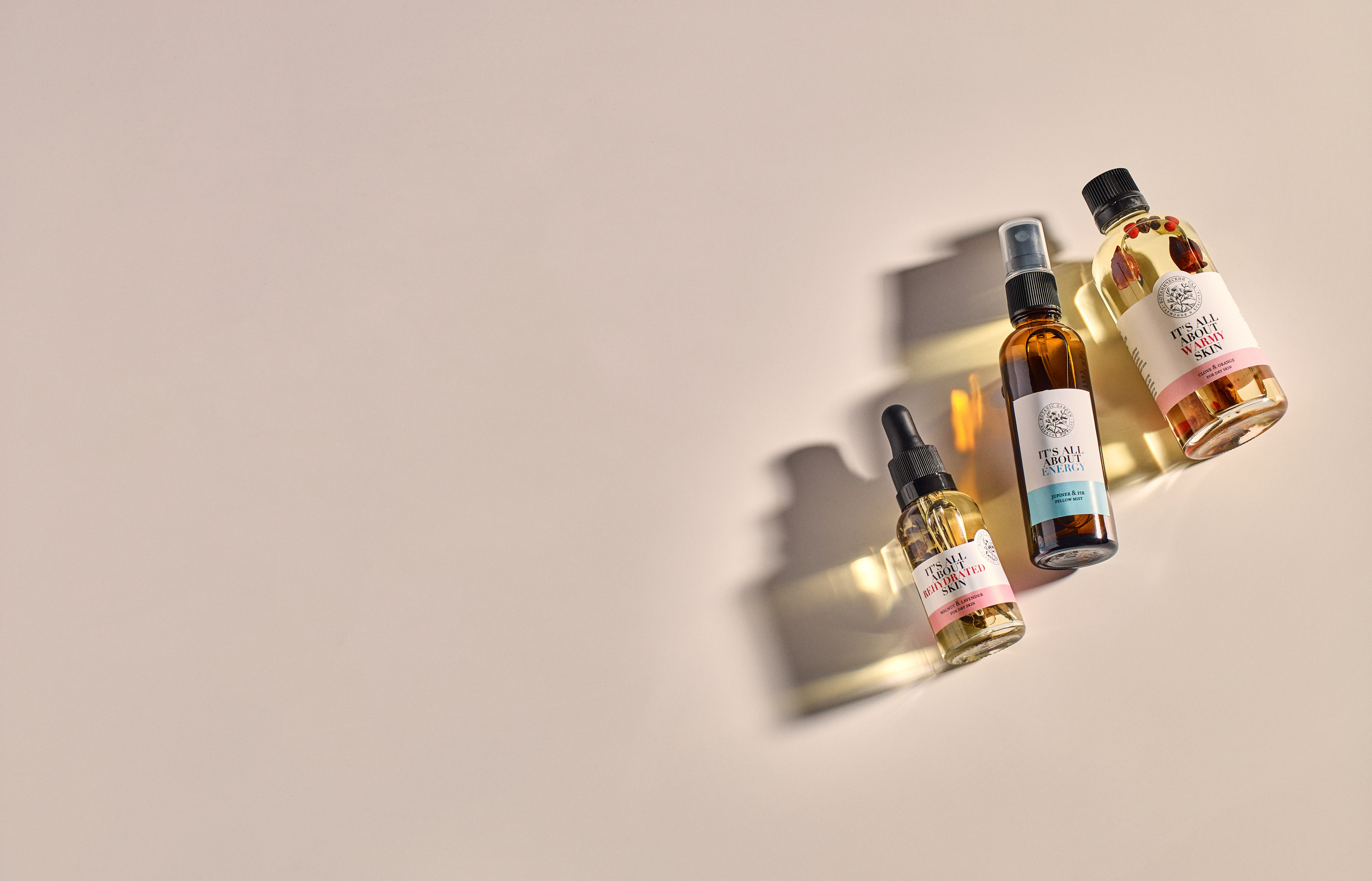 Ботанический сад banner