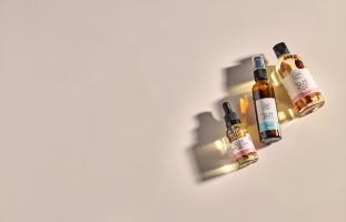 Ботанический сад banner