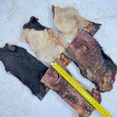 Нос говяжий 18-20см