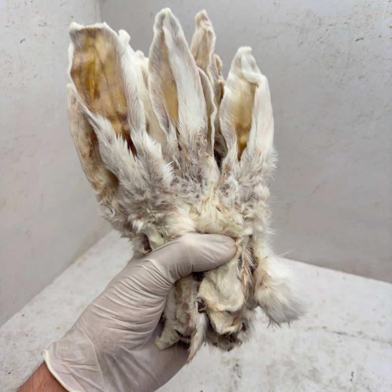 Уши кролика не очищенные - 200 гр.