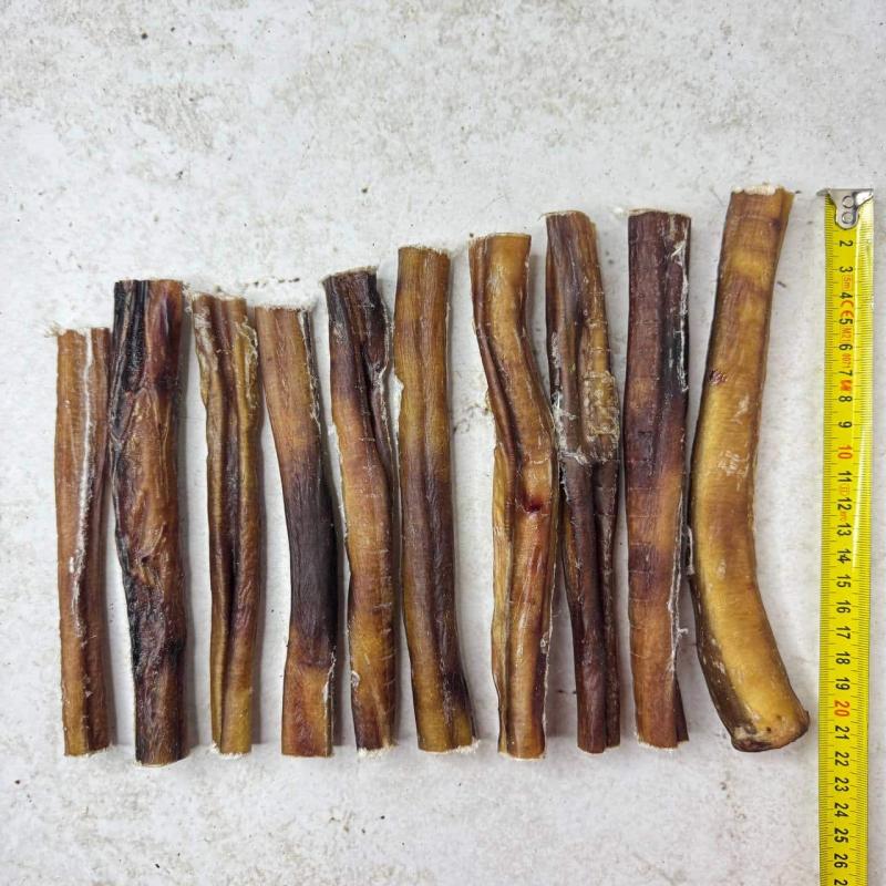 Бычий корень M - 10шт (17-20см) ~500гр