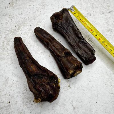 Хвост Конский большой - M