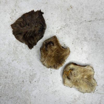 Нос барана крупный - 3 шт.