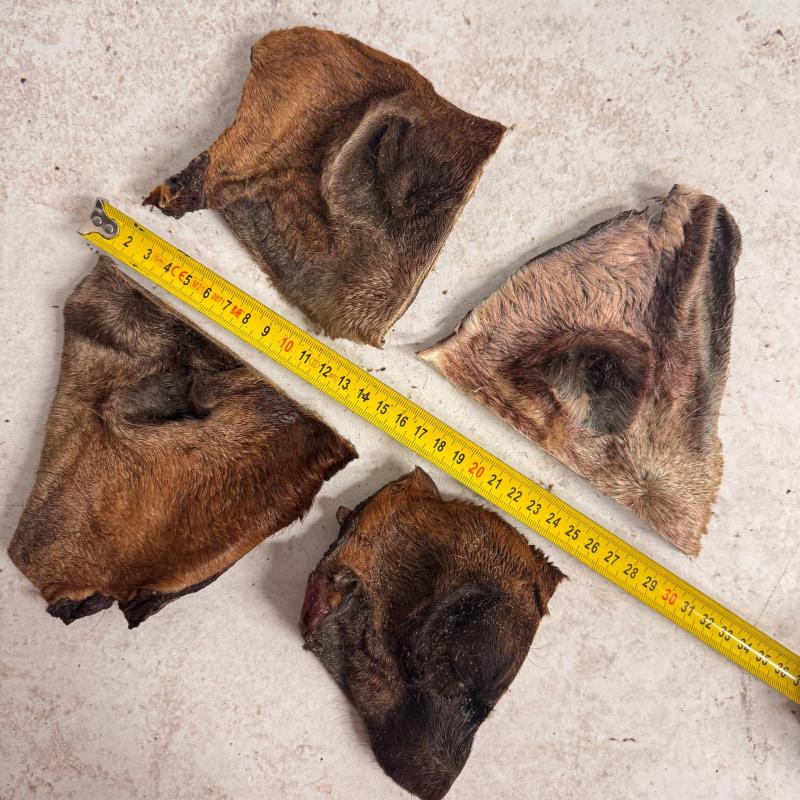 Нос конский половинки (4шт)