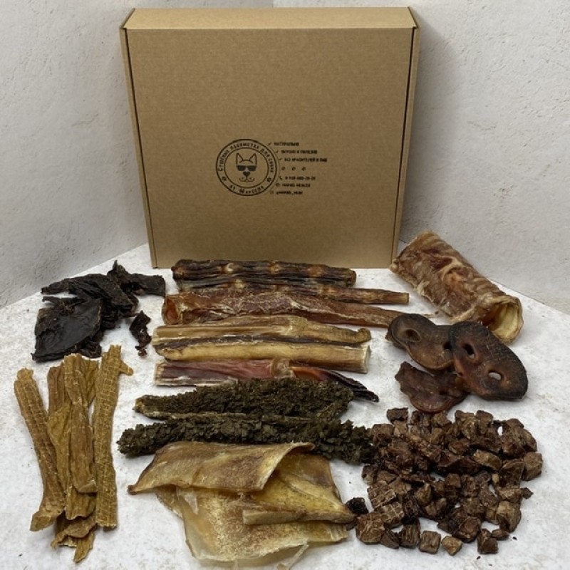 Набор "Зубастик" для щенков и мини пород