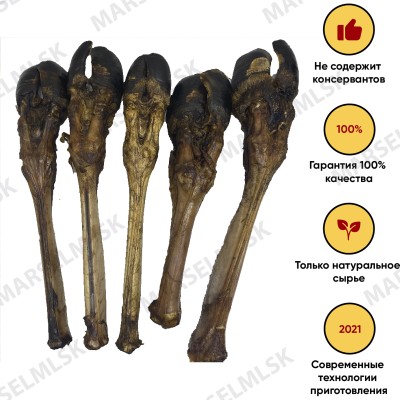 Нога северного оленя XXL