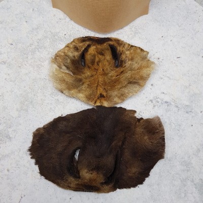 Нос оленя 1 шт