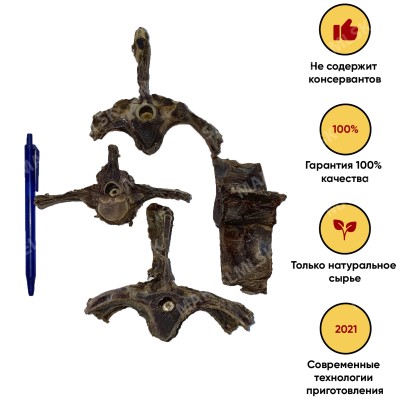 Хребет оленя для маленьких пород
