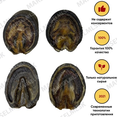 Конское копыто - шайба 1шт.