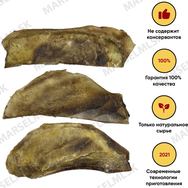 Лопаточный хрящ XXL
