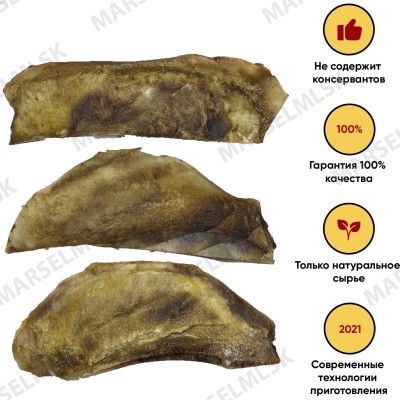 Лопаточный хрящ XXL