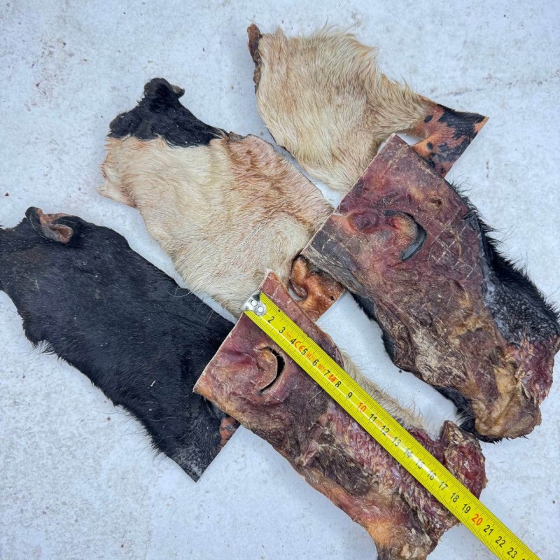 Нос говяжий 18-20см