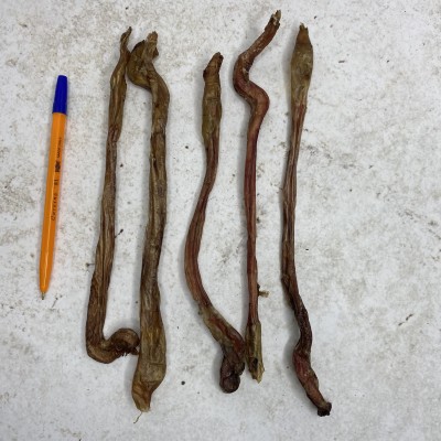 Бараний пенис 5шт.