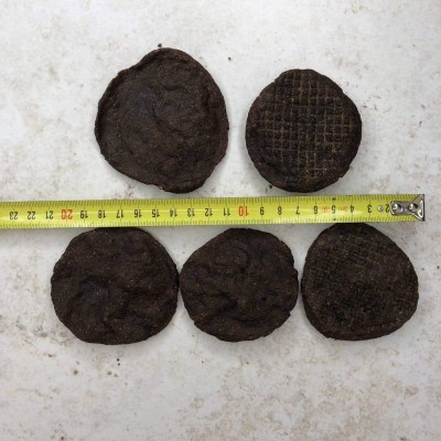 Медальоны из оленя 5шт.