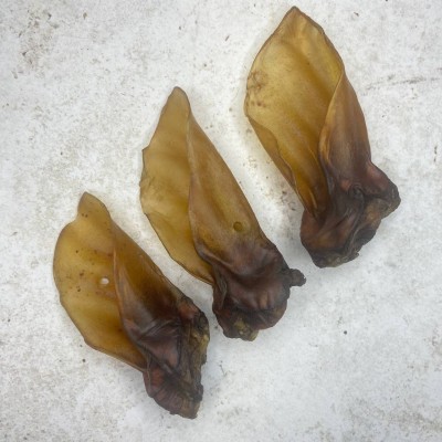 Ухо/уши говяжьи с основанием - 3 шт.