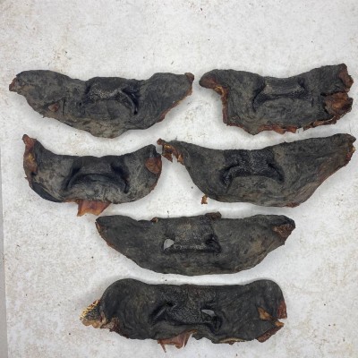 Нос говяжий Black Ангус 1шт. - M