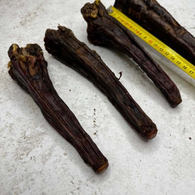 Хвост Конский большой