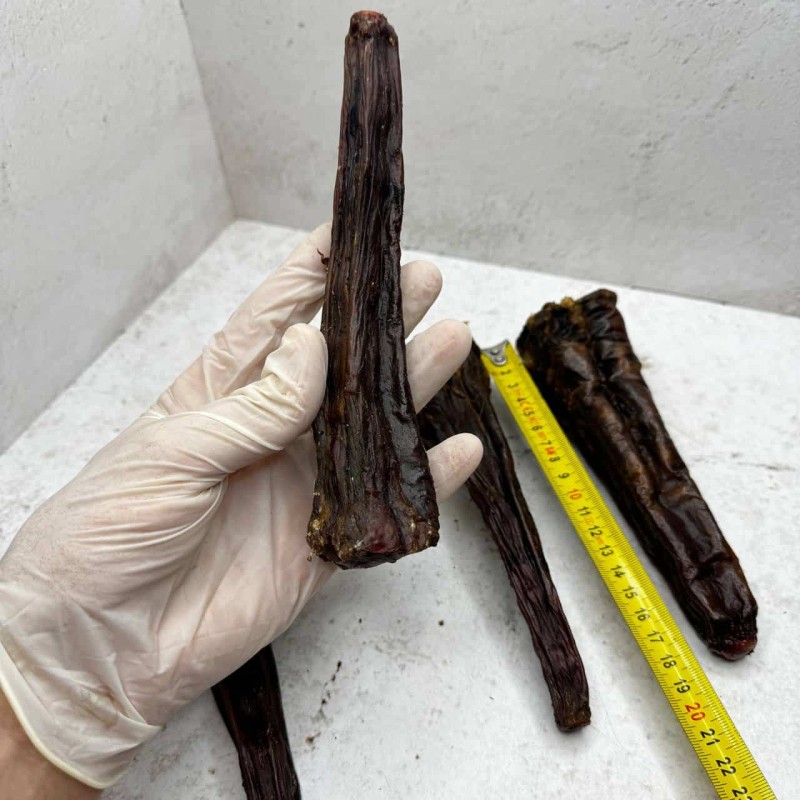 Хвост Конский большой - L