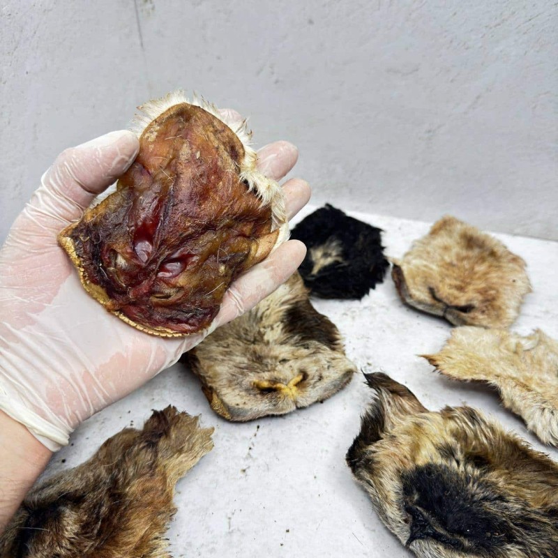 Нос барана крупный