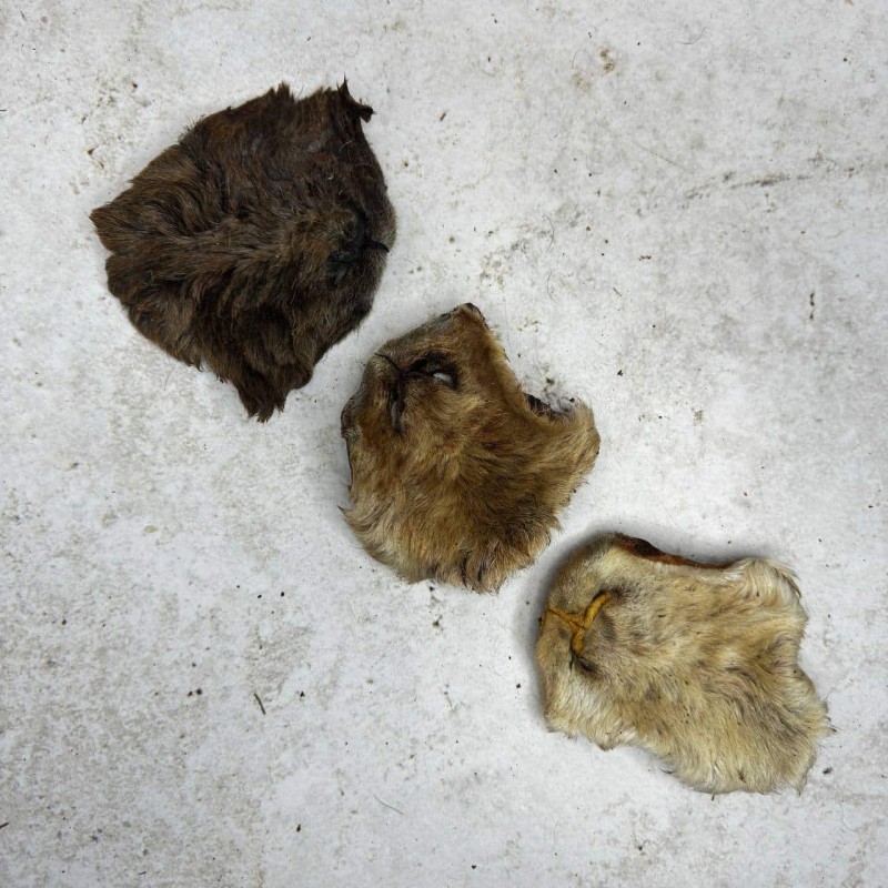 Нос барана крупный - 3 шт.