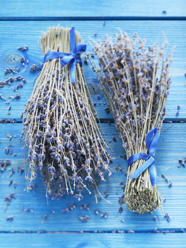 Букет лаванды