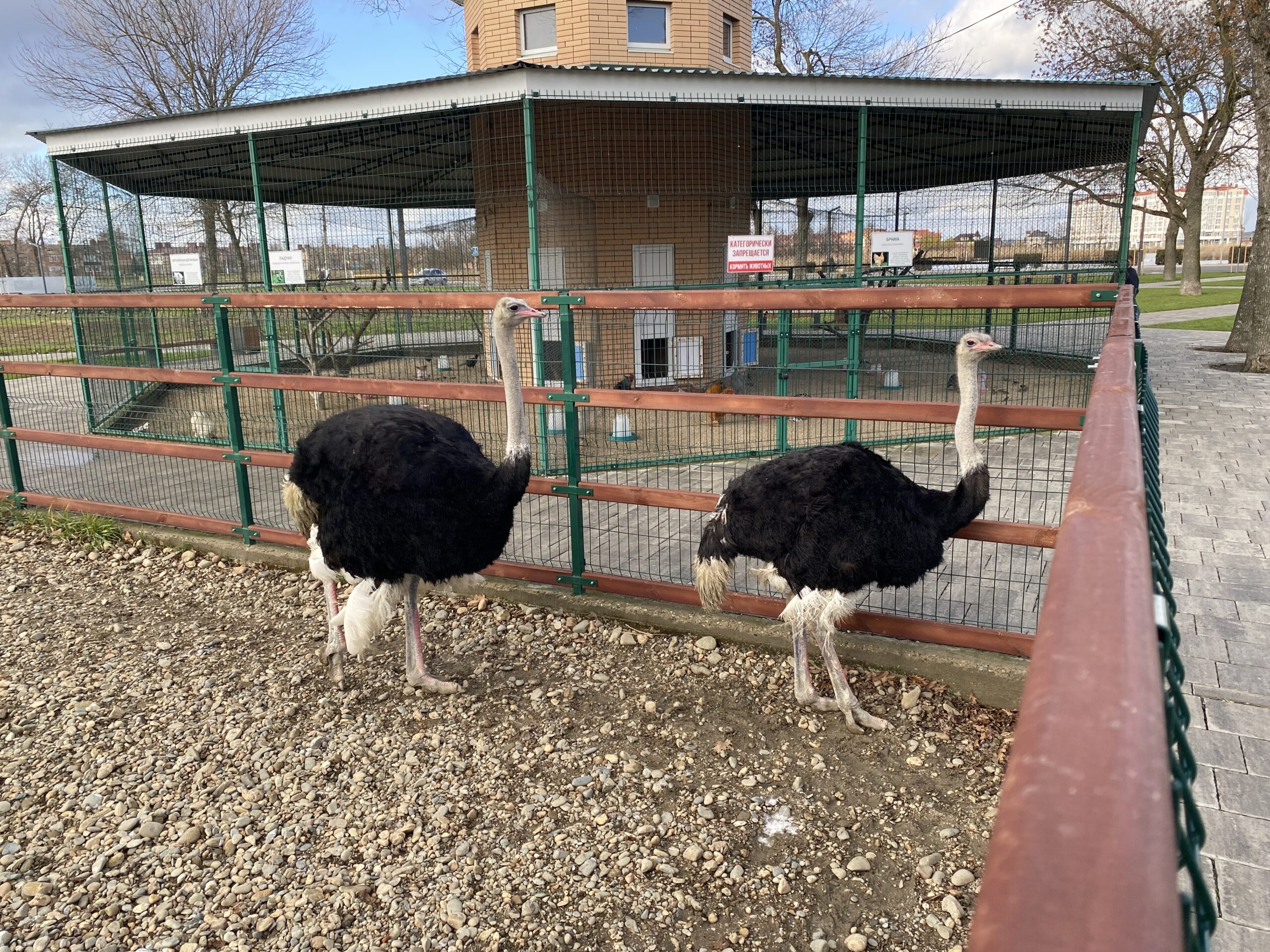 Славянск на кубани табличка города. Серая птица кубани. Благоустройство набережной в славянске-на-кубани. Славянск на кубани табличка города. Славянск на кубани центр города.