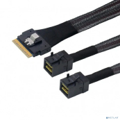 Lr-Link LRSF5443(8i)-SAS4.0 SAS SFF-8654 8i to 2xHDminiSAS SFF-8643 Cable,0.8m(SAS 4.0)  Lr-Link LRSF5443(8i)-SAS4.0 SAS SFF-8654 8i to 2xHDminiSAS SFF-8643 Cable,0.8m(SAS 4.0)