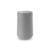 Harman Kardon HKCITA100MKIIGRYRU Harman Kardon HKCITA100MKIIGRYRU