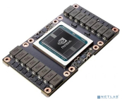 Графический процессор TESLA V100-SXM2-32GB,PG503 SKU203, (900-2G503-0010-000),  Generi OEM {8}  Графический процессор TESLA V100-SXM2-32GB,PG503 SKU203, (900-2G503-0010-000),  Generi OEM {8}