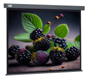Экран Cactus Wallscreen CS-PSW-127X127-SG, 127х127 см, 1:1, настенно-потолочный серый Экран Cactus Wallscreen CS-PSW-127X127-SG, 127х127 см, 1:1, настенно-потолочный серый