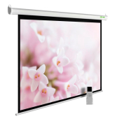 Экран Cactus MotoExpert CS-PSME-240x240-WT 240x240 см 1:1 настенно-потолочный рулонный белый 