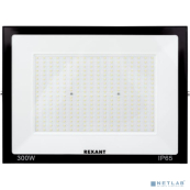 Rexant 605-030 Прожектор светодиодный СДО 300Вт 2400Лм 6500К холодный свет, черный корпус 