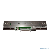 Tsc Печатающая головка 203 DPI  для принтеров MB240 