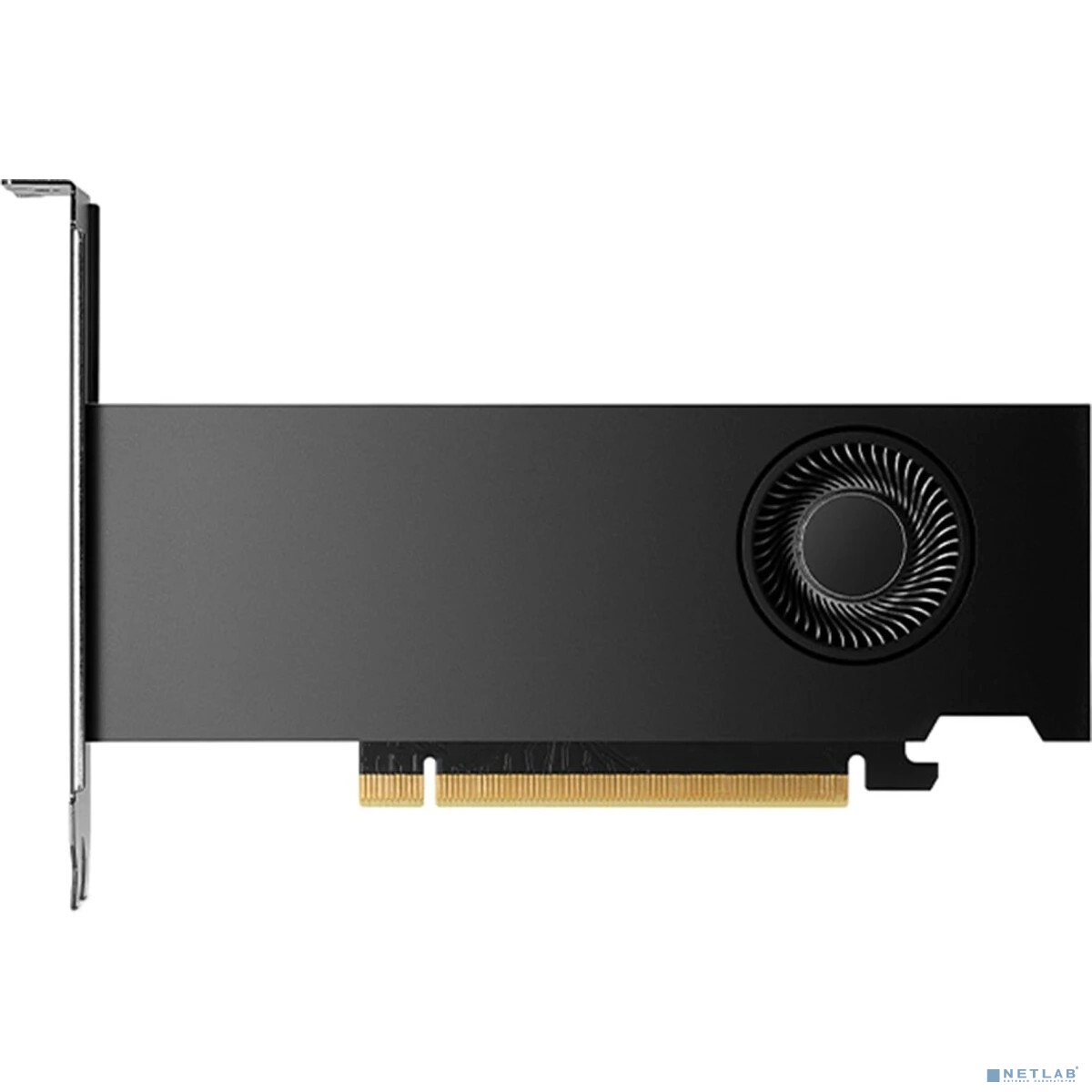 NVIDIA RTX 2000 ADA PCIe 16GB GDDR6, BLK  900-5G192-2240-000