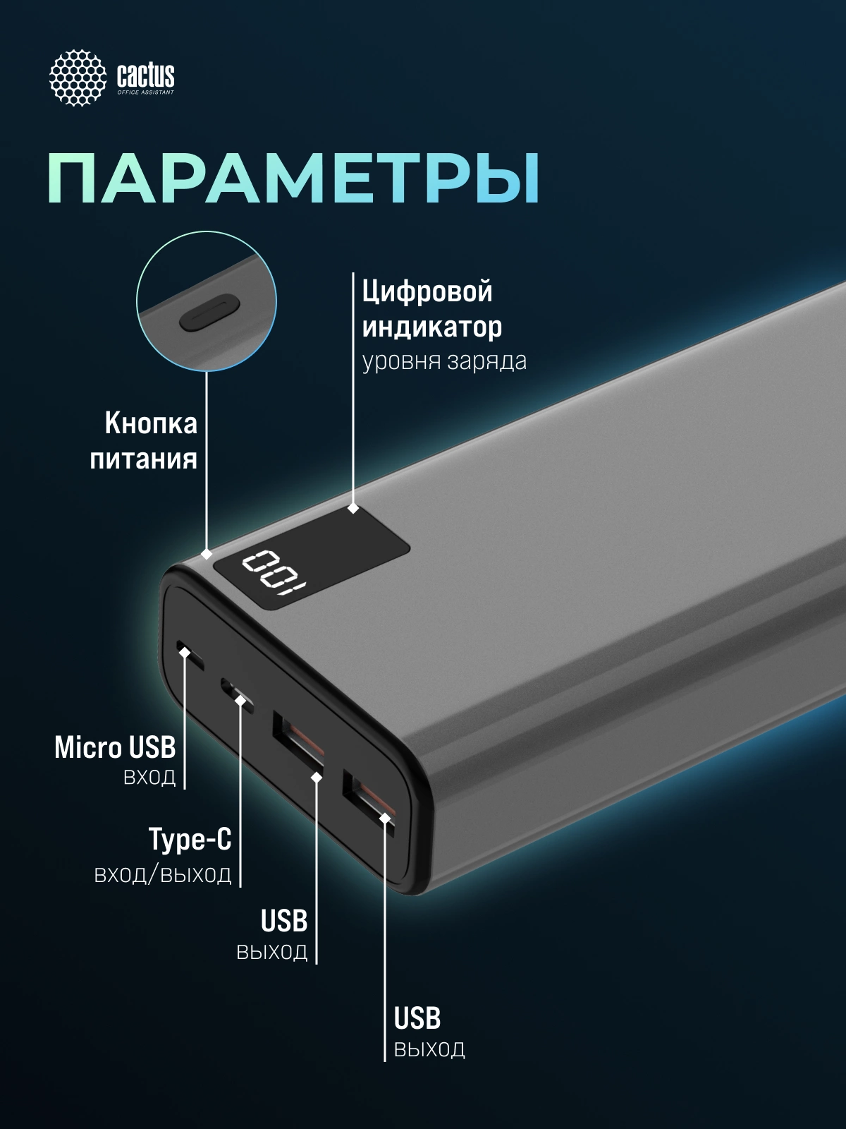 CACTUS CS-PBFSFA-20000