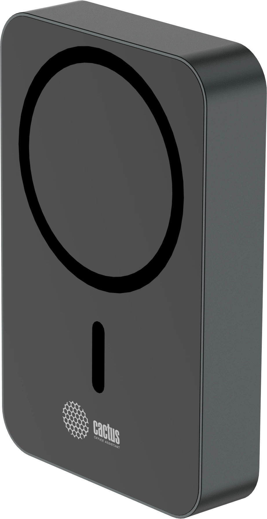 Мобильный аккумулятор Cactus CS-PBFSTA-10000 10000mAh 22.5W 4.5A USB-C беспров.зар. серый Мобильный аккумулятор Cactus CS-PBFSTA-10000 10000mAh 22.5W 4.5A USB-C беспров.зар. серый